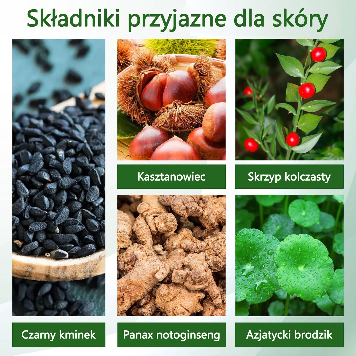 🔥Dorina® Krem ziołowy łagodzący obrzęki z czarnuszką