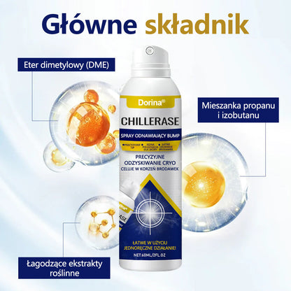 🎄Dorina® ChillErase Spray odnawiający skórę